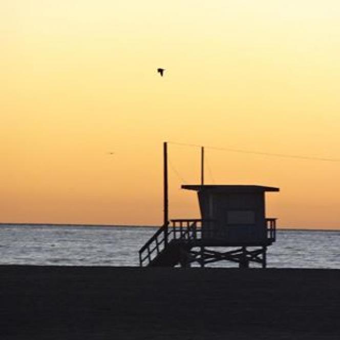 C'est ici que se placent les médias ajoutés hors d'un album